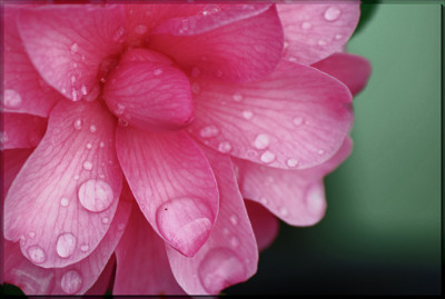 Click here to view at full resolution.