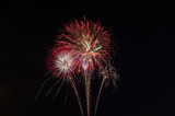 Bouquet In the Sky by rriesop, Photography->Fireworks gallery