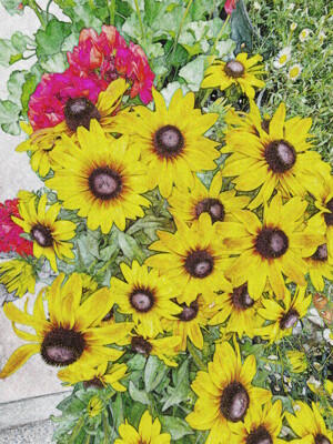 Click here to view at full resolution.