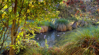 Click here to view at full resolution.