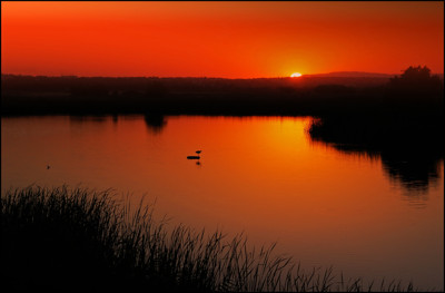 Click here to view at full resolution.