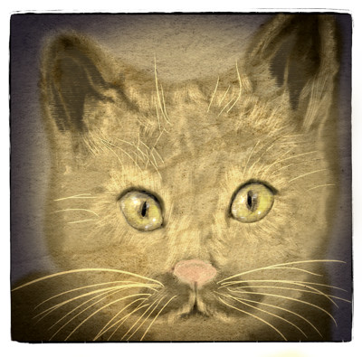 Click here to view at full resolution.