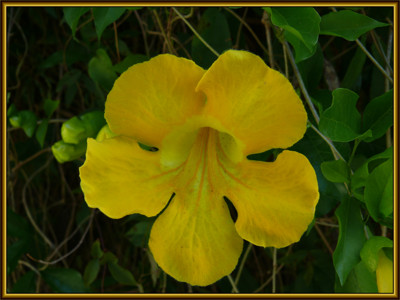 Click here to view at full resolution.