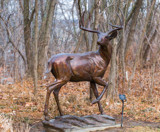 Startled by Pistos, photography->sculpture gallery