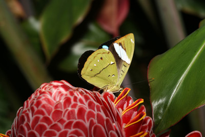 Click here to view at full resolution.
