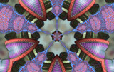 The Inside of Out by Flmngseabass, abstract gallery