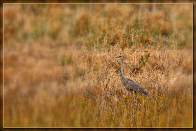 Click here to view at full resolution.