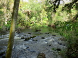 At the rapids by GomekFlorida, photography->waterfalls gallery