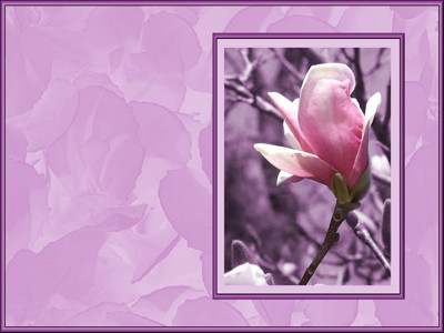 Click here to view at full resolution.