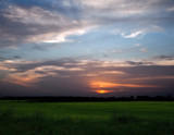 Rice Field Sunset by PatAndre, Photography->Sunset/Rise gallery