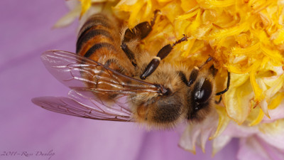 Click here to view at full resolution.