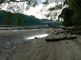 Way down upon the Pee Dee by Mvillian, Photography->Shorelines gallery