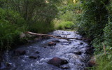 Woods Stream by Tomeast, photography->nature gallery