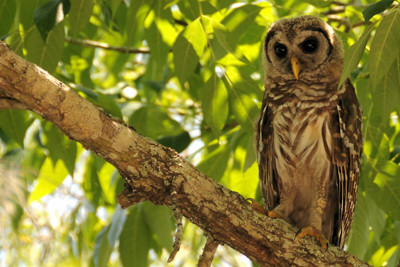 Click here to view at full resolution.