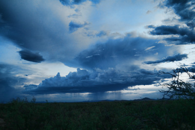 Click here to view at full resolution.