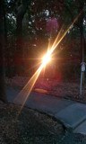 Sun through the Trees by ccaccus, photography->sunset/rise gallery