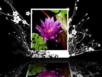Click here to view at full resolution.