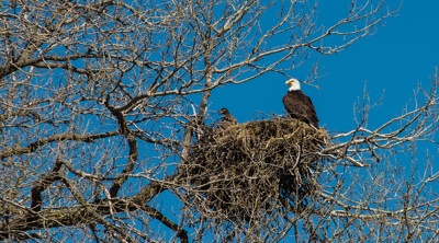 Click here to view at full resolution.