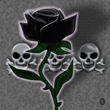 The Witch's Rose by Jhihmoac, illustrations->digital gallery