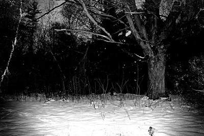 Click here to view at full resolution.