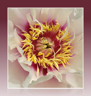 Click here to view at full resolution.