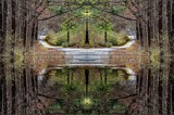 Pool Of Enchantment by bfrank, photography->manipulation gallery