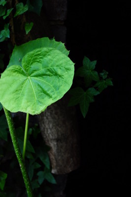 Click here to view at full resolution.