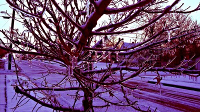 Click here to view at full resolution.