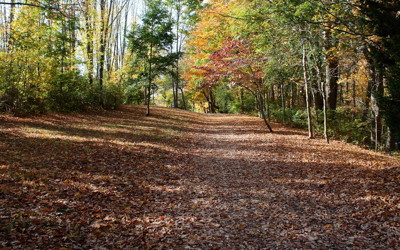 Click here to view at full resolution.