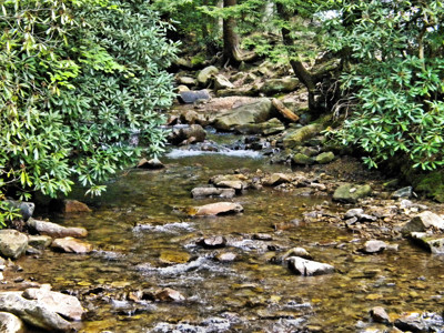 Click here to view at full resolution.