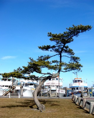 Click here to view at full resolution.