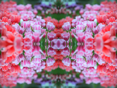 Click here to view at full resolution.