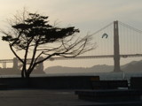 San Francisco Dreamers by blueyedbaby619, Photography->Landscape gallery