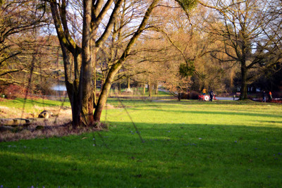 Click here to view at full resolution.