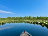 kayaking Grassy Creek #2 by tigger3, photography->water gallery