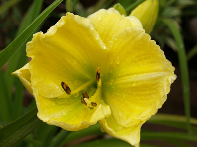 Click here to view at full resolution.