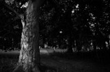 Oakwood BNW by JayMxPhotography, photography->places of worship gallery