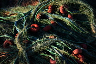 Click here to view at full resolution.