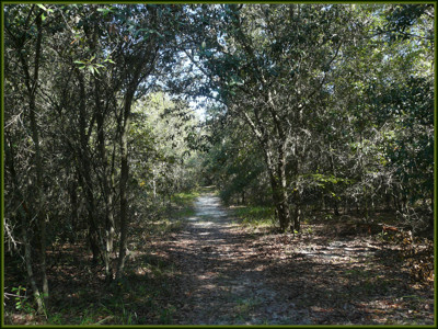 Click here to view at full resolution.