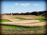 Harvest Time 1 by Starglow, photography->landscape gallery