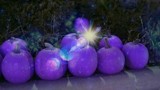 Enchanted Pumpkins by galaxygirl1, holidays gallery