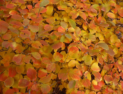 Click here to view at full resolution.