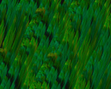 Grass Feathers by Dark_Star_Shining, abstract gallery