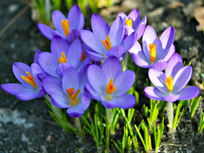 Click here to view at full resolution.