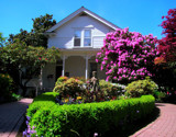 Hulda Klager Lilac Gardens by busybottle, Photography->Gardens gallery