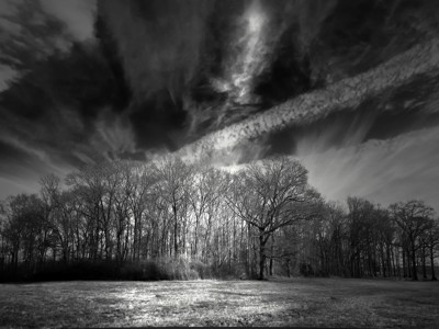 Click here to view at full resolution.