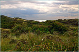 The Dunes Of Walcheren 2 by corngrowth, photography->landscape gallery