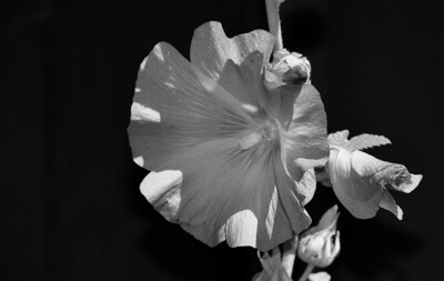 Click here to view at full resolution.