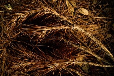 Click here to view at full resolution.