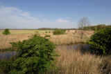 Wetland by Paul_Gerritsen, Photography->Landscape gallery